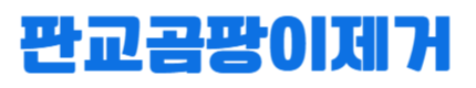 판교곰팡이제거